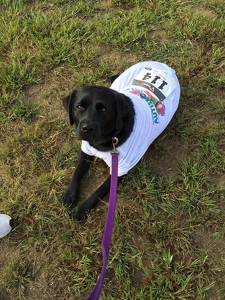 Team Page: KCAP Runners